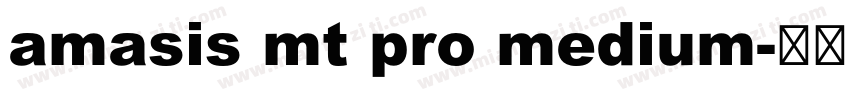 amasis mt pro medium字体转换